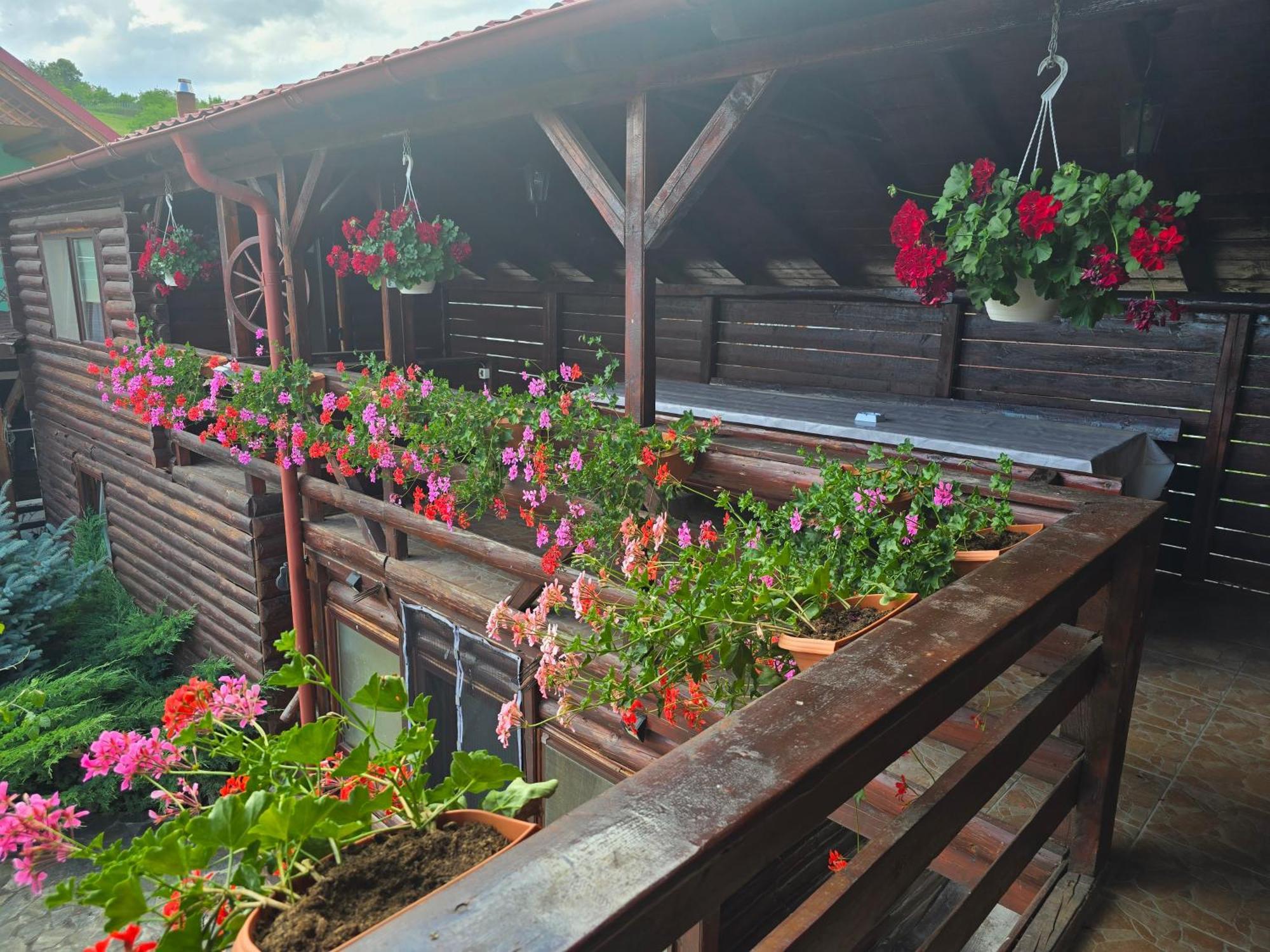 Willa Casa Baciu Turda Zewnętrze zdjęcie